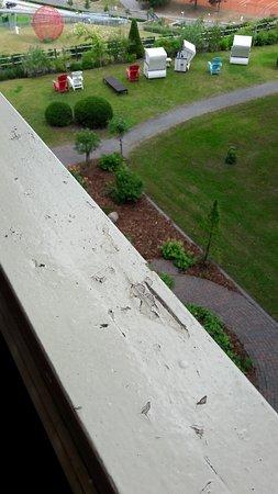 Akzent Waldhotel Gohren Restaurant Friesenstube